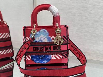 DIOR Handbags 576